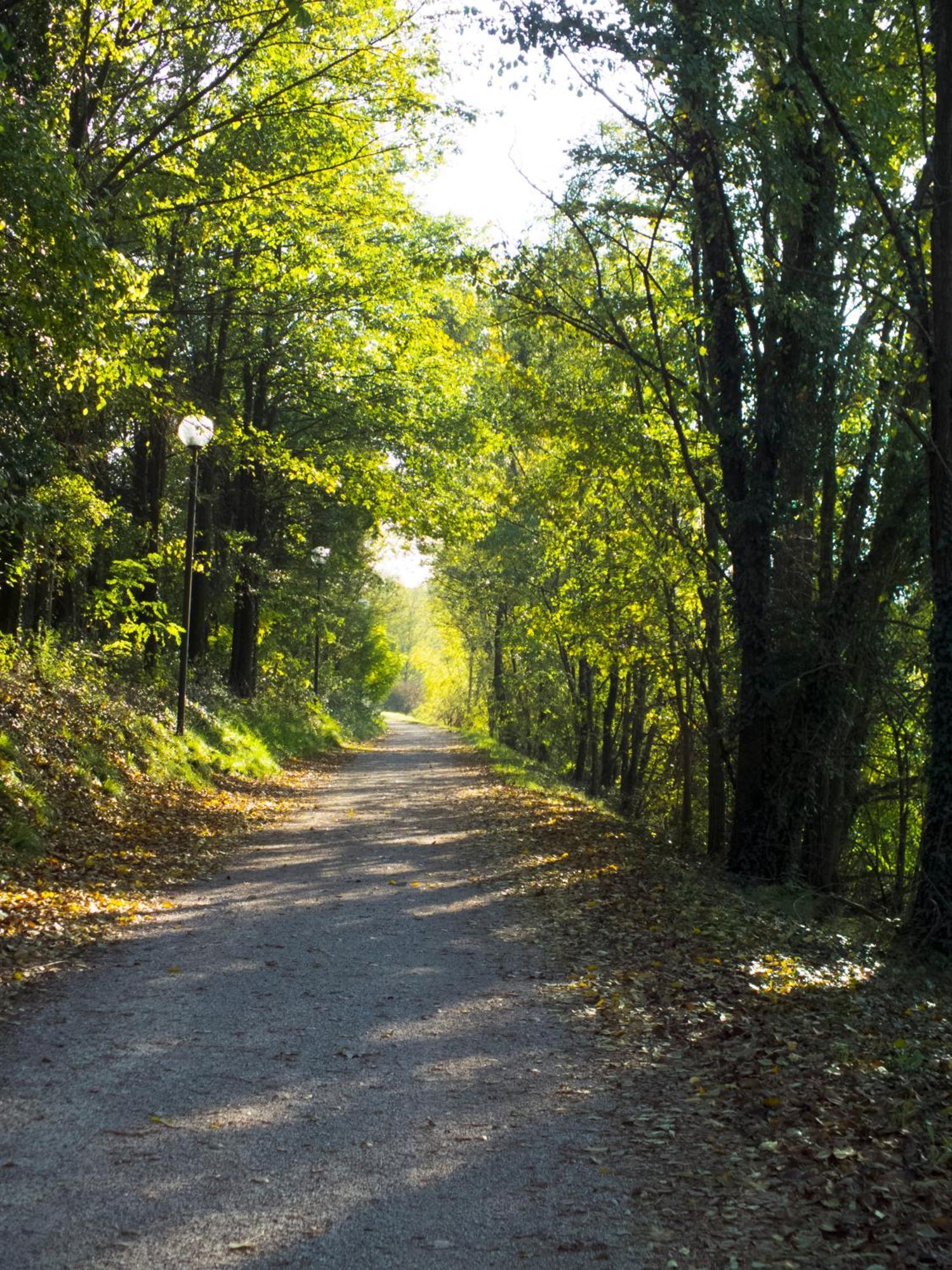 Agriturismo I 9 Filari Limena Eksteriør bilde